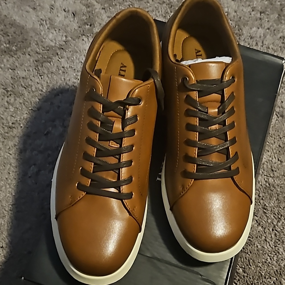 Alfani Benny Tan